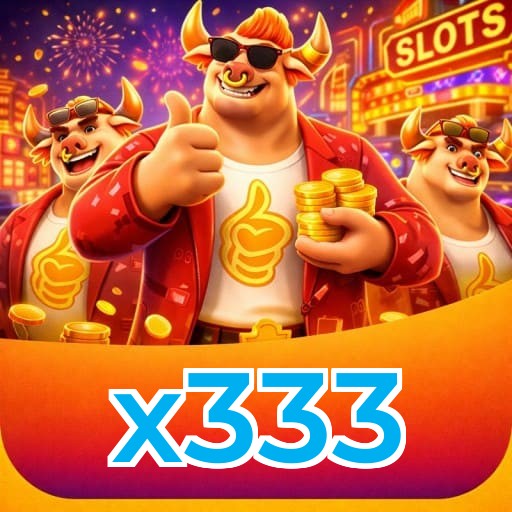 x333