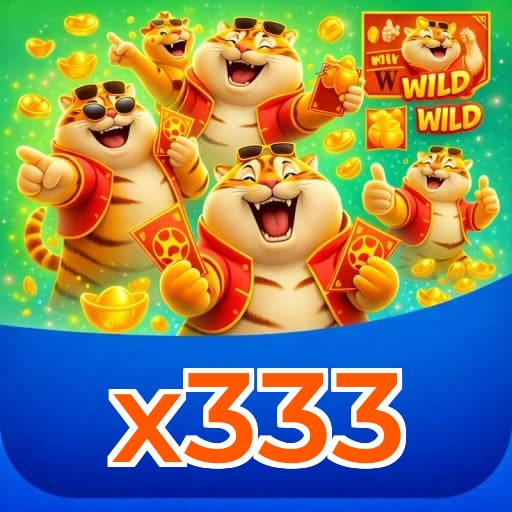 x333
