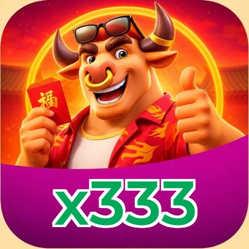 x333