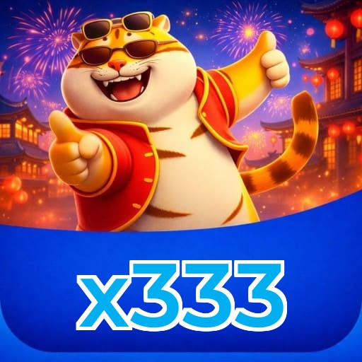 x333