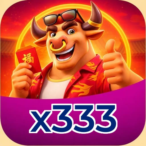 x333