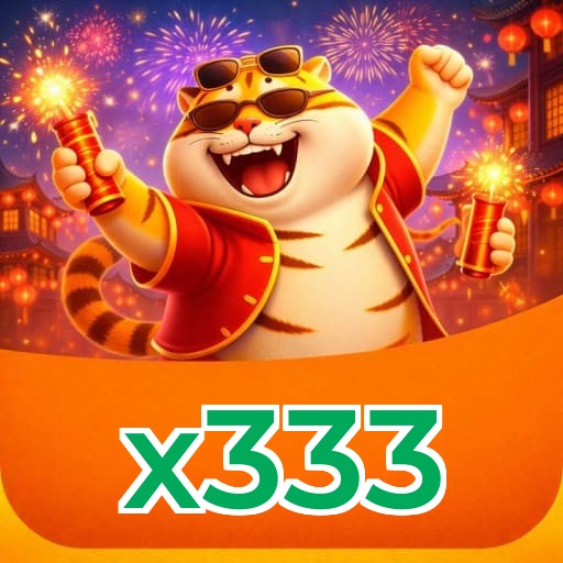 x333